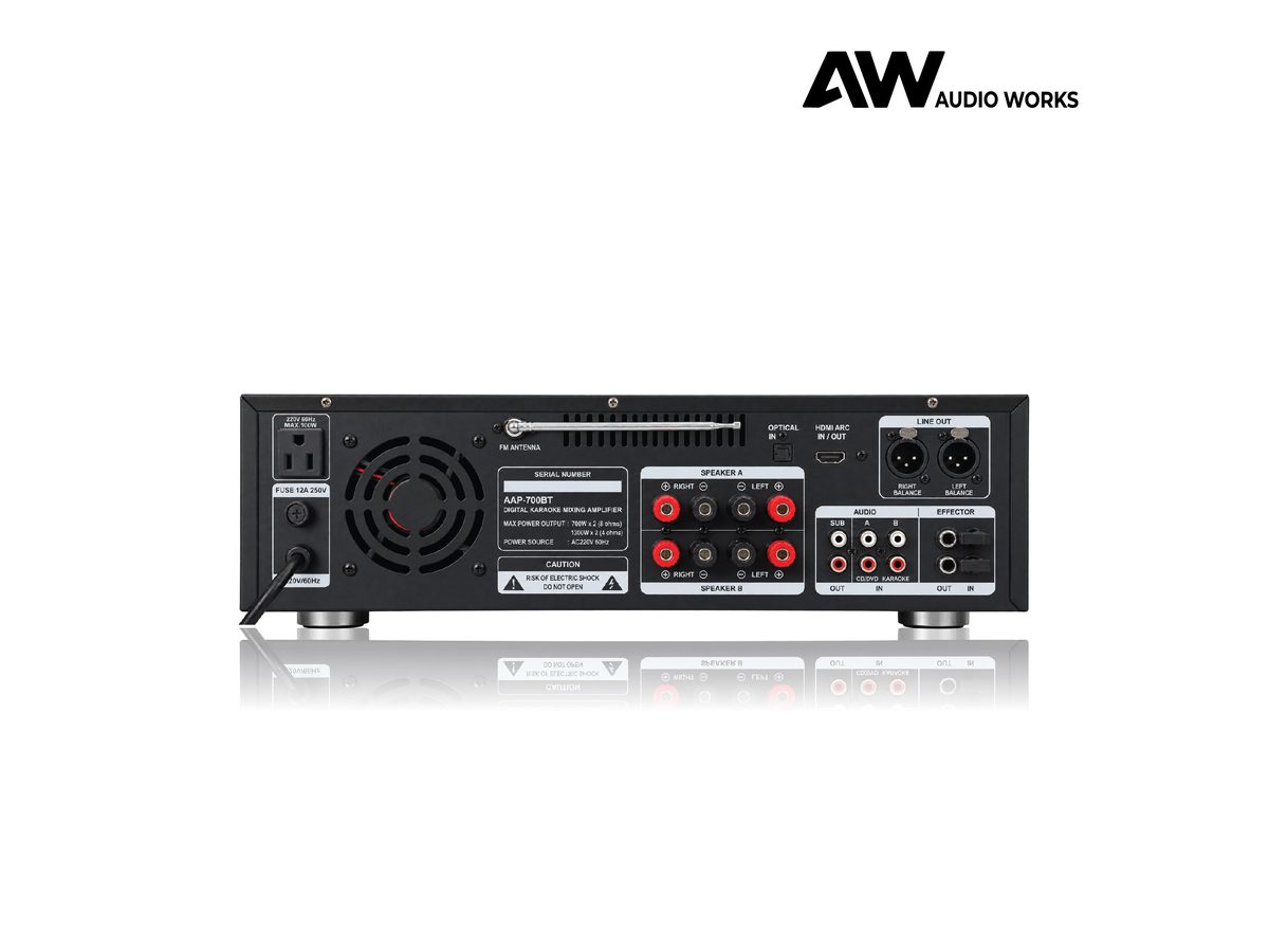 Audio Works AAP-700BT rear panel with speaker terminals, RCA inputs and mic sockets