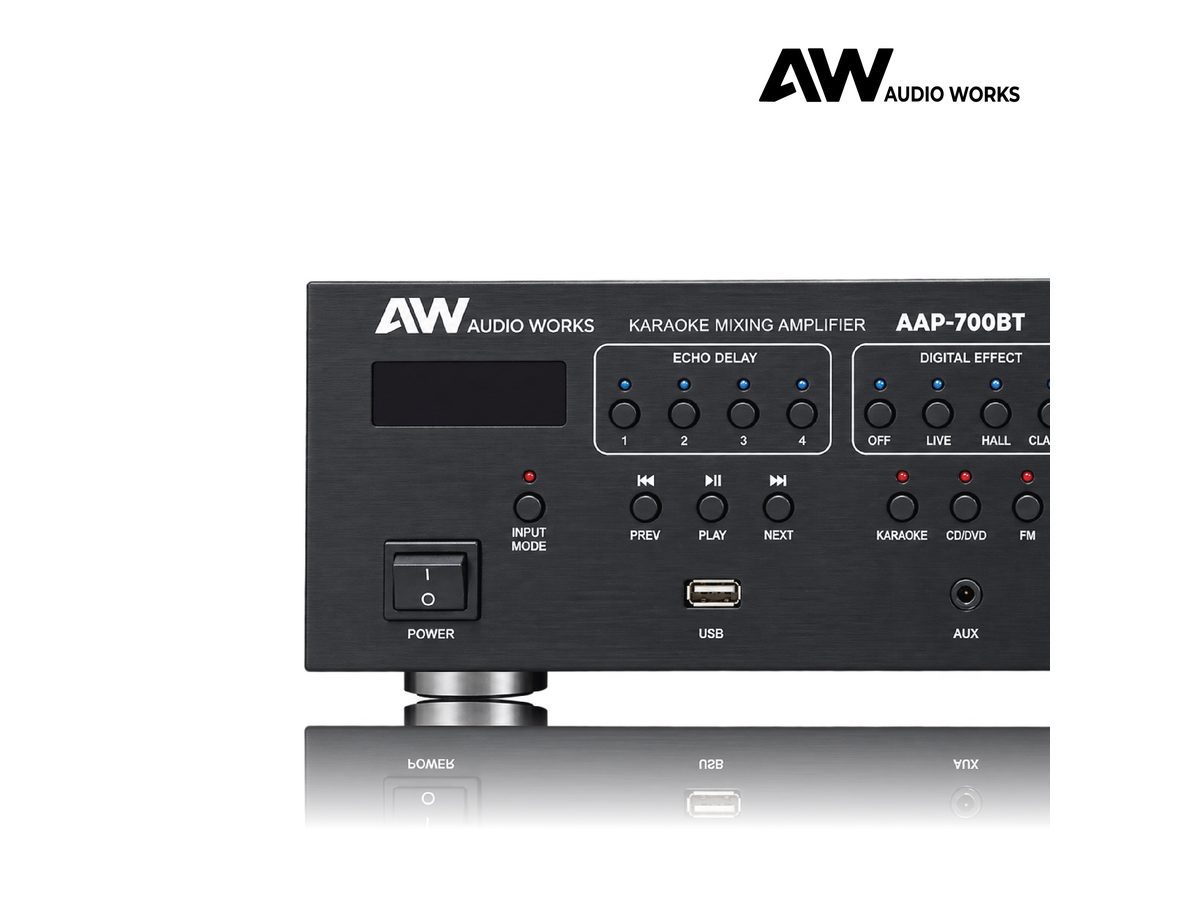 Audio Works AAP-700BT front panel close-up showing echo delay and digital effect buttons