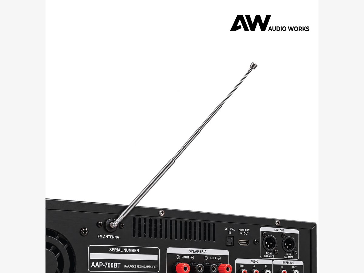 Audio Works AAP-700BT rear panel with the FM antenna extended