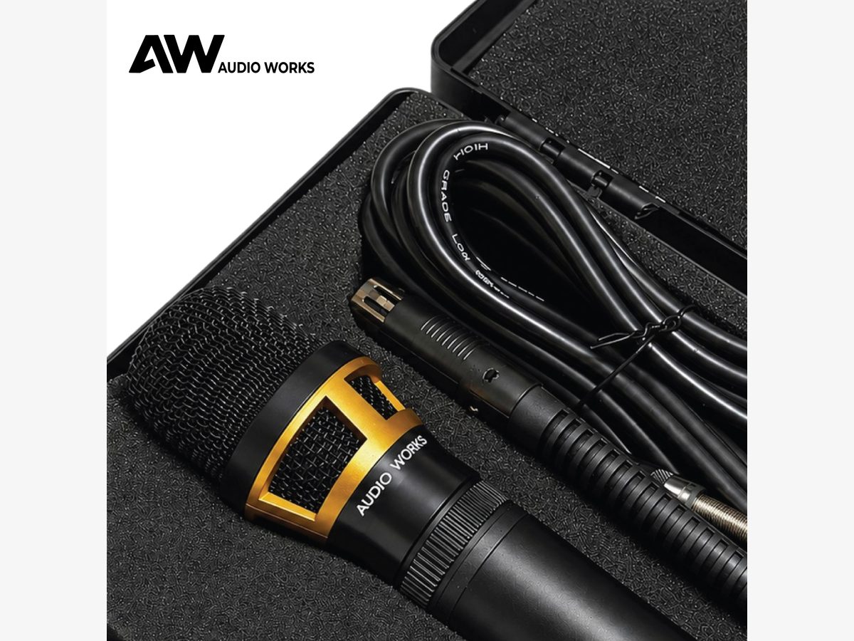 Close-up of the Audio Works AOM-2 grille and gold trim inside the case
