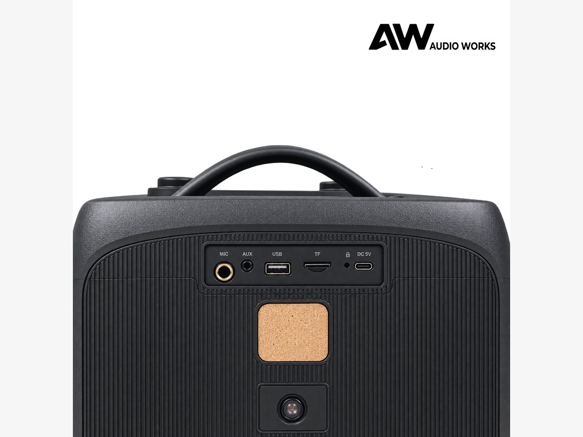 Audio Works APPB-60L rear panel with the port bay and moulded carry handle