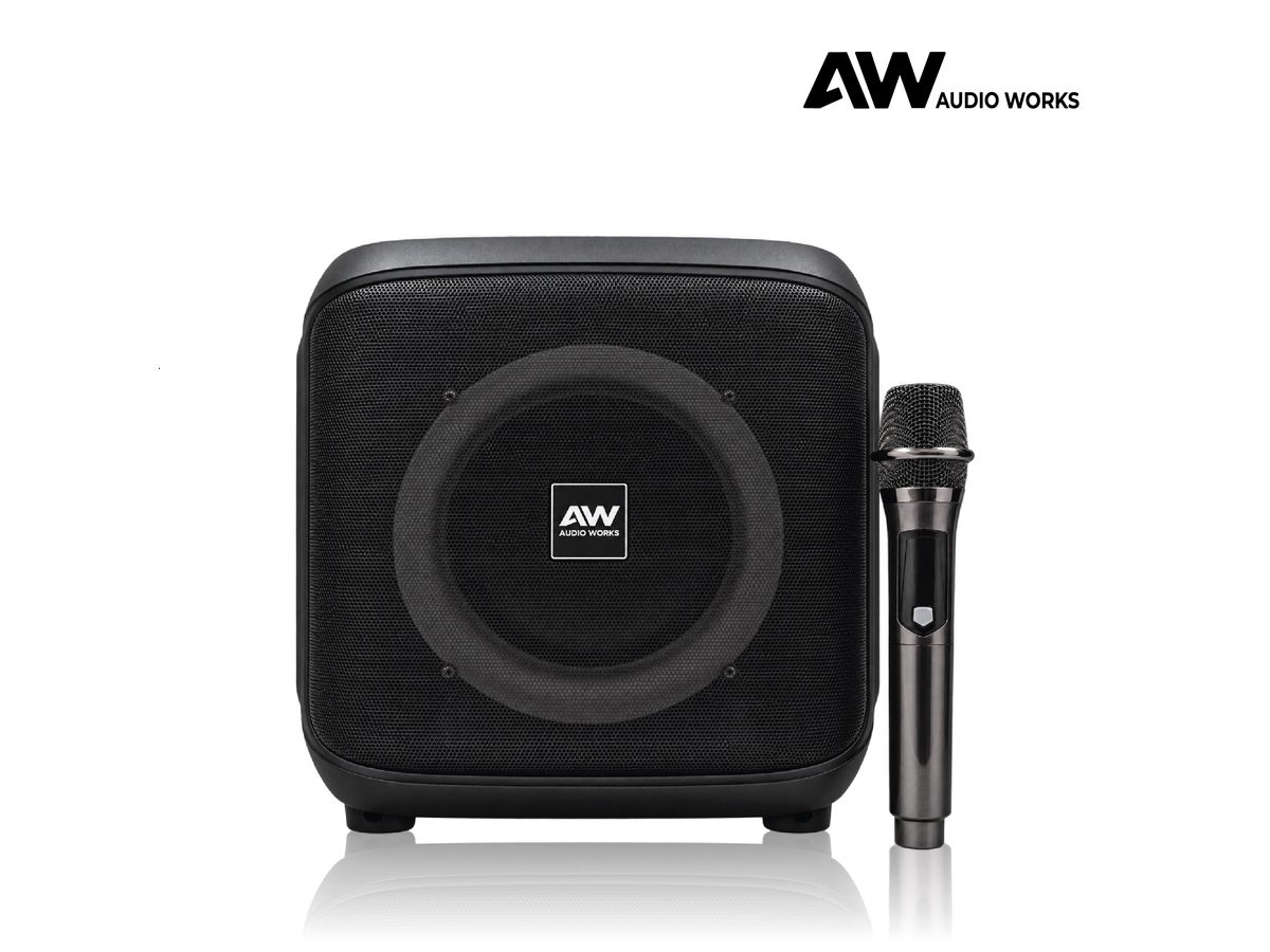 Close-up of the Audio Works APPB-60L rear ports — mic in, USB, AUX and charging