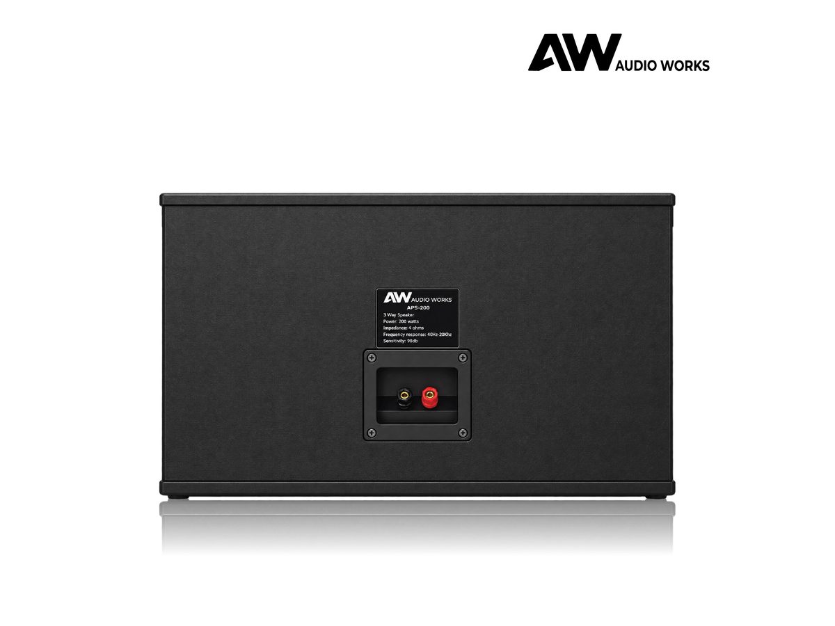 Audio Works APS-200 rear panel with binding post terminals