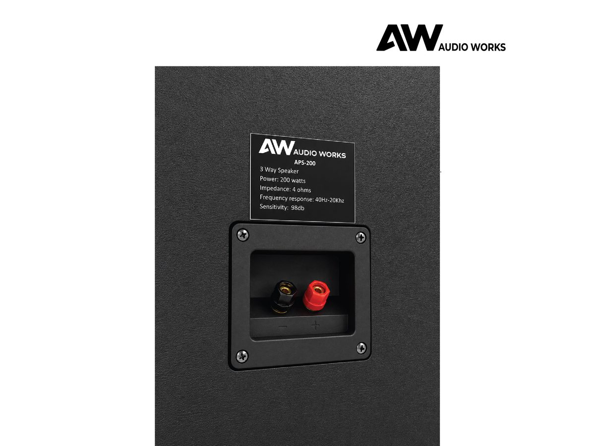 Close-up of the Audio Works APS-200 rear spec plate and binding posts