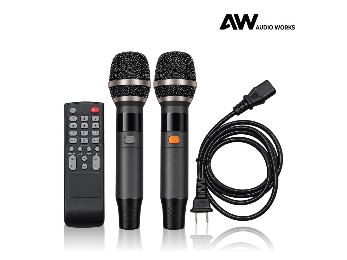 Audio Works AWPB-150A remote control, wireless microphones and power cable