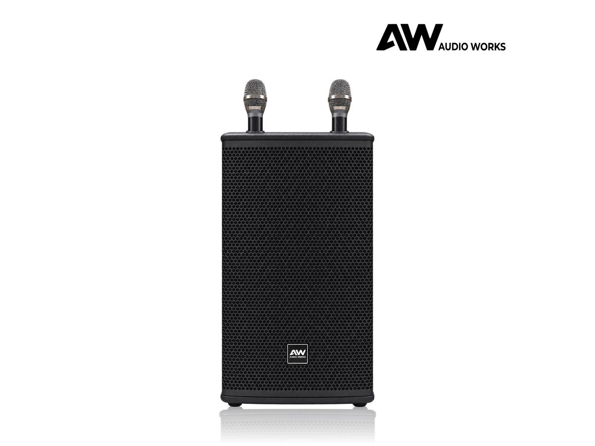 Audio Works AWPB-150A party box with both microphones stored on top