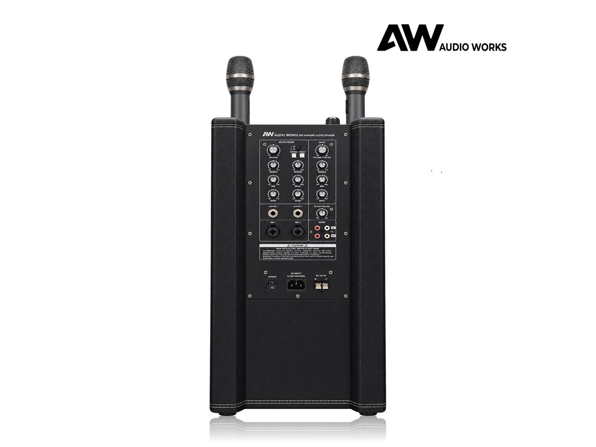 Audio Works AWPB-150A rear panel with microphones in place