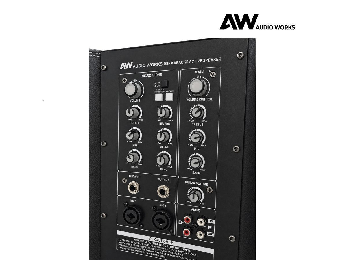 Close-up of the Audio Works AWPB-150A rear control panel inputs