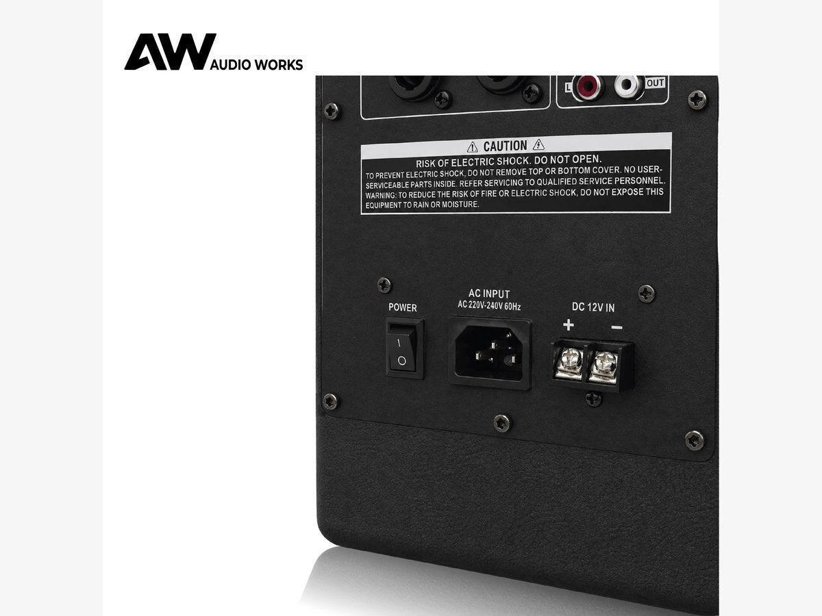 Close-up of the Audio Works AWPB-150A AC inlet and 12 V DC input